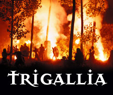 Trigallia 2003 Celtic Festival: la locandina
